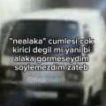 saha araştırmacısı alpi