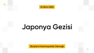 Japonya Gezisi