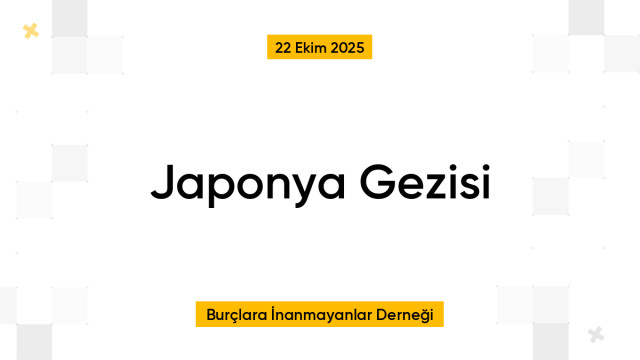 Japonya Gezisi