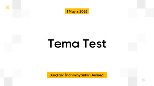 Tema Test