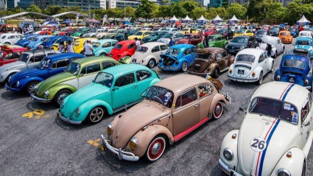 Herbie Birthday Party