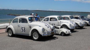 Herbie Gathering