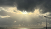Check-in test