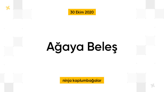 Ağaya Beleş