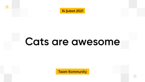 Cats are awesome