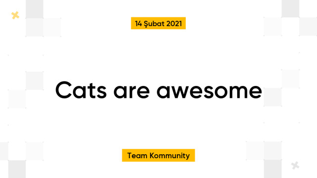 Cats are awesome